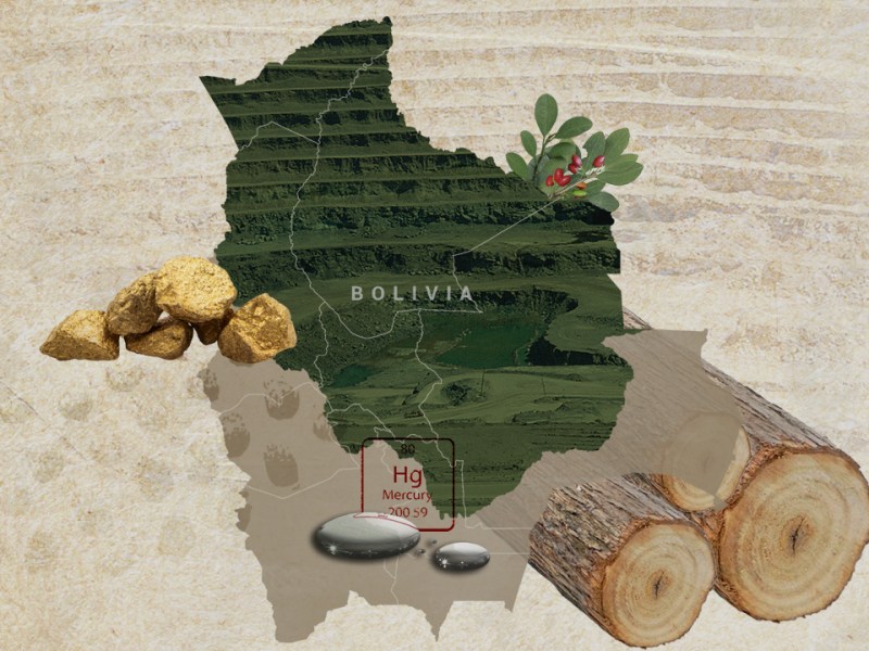Stolen Amazon: The Roots of Environmental Crime in Bolivia